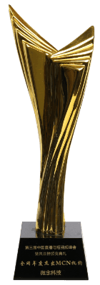 2019全网年度杰出MCN机构
今日网红＆短视频工场